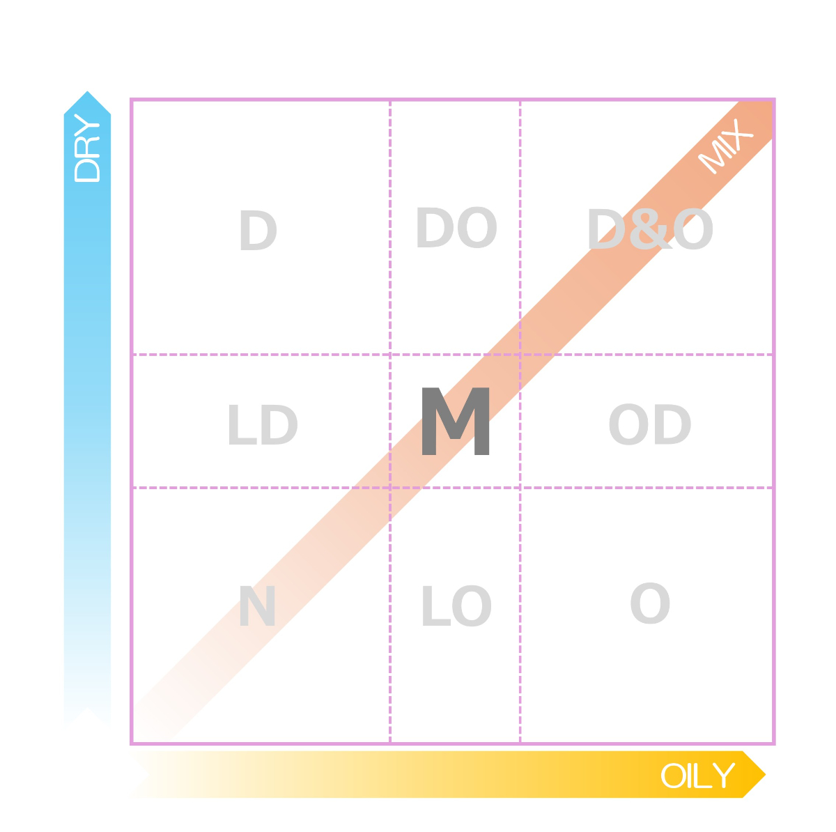 肌タイプ全体MAP